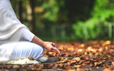 Reinicia tu vida este otoño: Cultiva el equilibrio, la salud y relaciones más fuertes para la temporada que viene